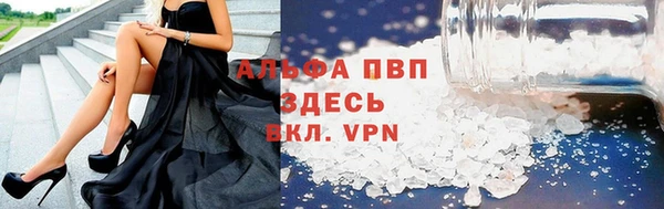 спиды Вяземский