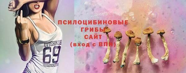 спиды Вяземский