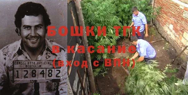 спиды Вяземский