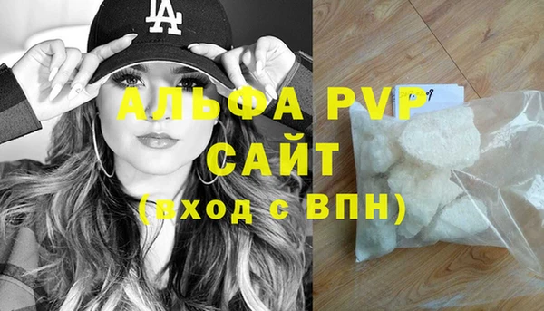 спиды Вяземский