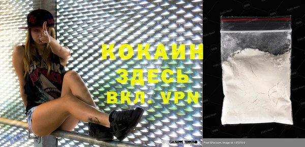 спиды Вяземский