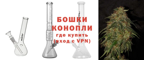 спиды Вяземский