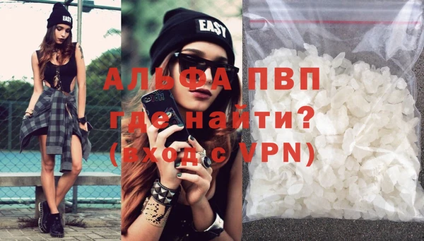 спиды Вяземский
