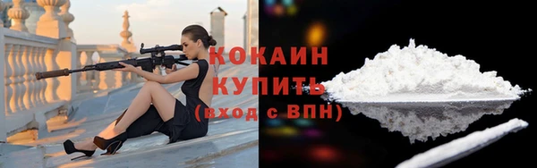 спиды Вяземский