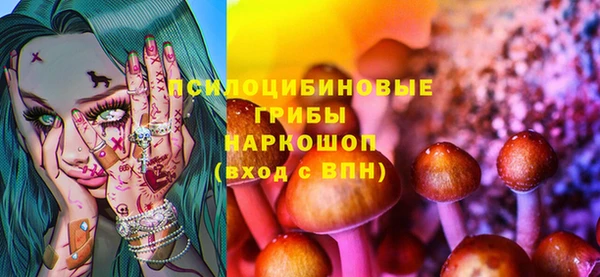 спиды Вяземский