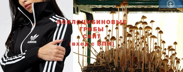 спиды Вяземский
