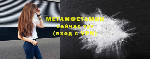 спиды Вяземский