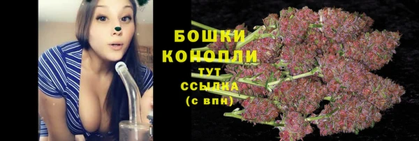 спиды Вяземский